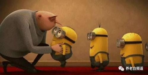 猴哥亲戚爆料视频大全集,揭秘猴哥家族传奇故事大全 第3张 猴哥亲戚爆料视频大全集,揭秘猴哥家族传奇故事大全 第3张