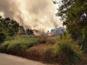 桂平最新爆料事件视频,视频揭露惊人真相！  第2张